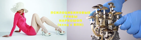 прущий лед Кодинск