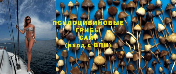 ECSTASY Козловка