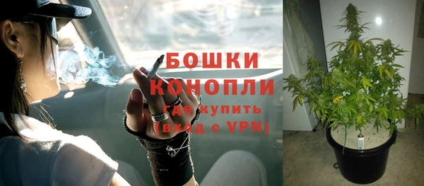 ECSTASY Козловка